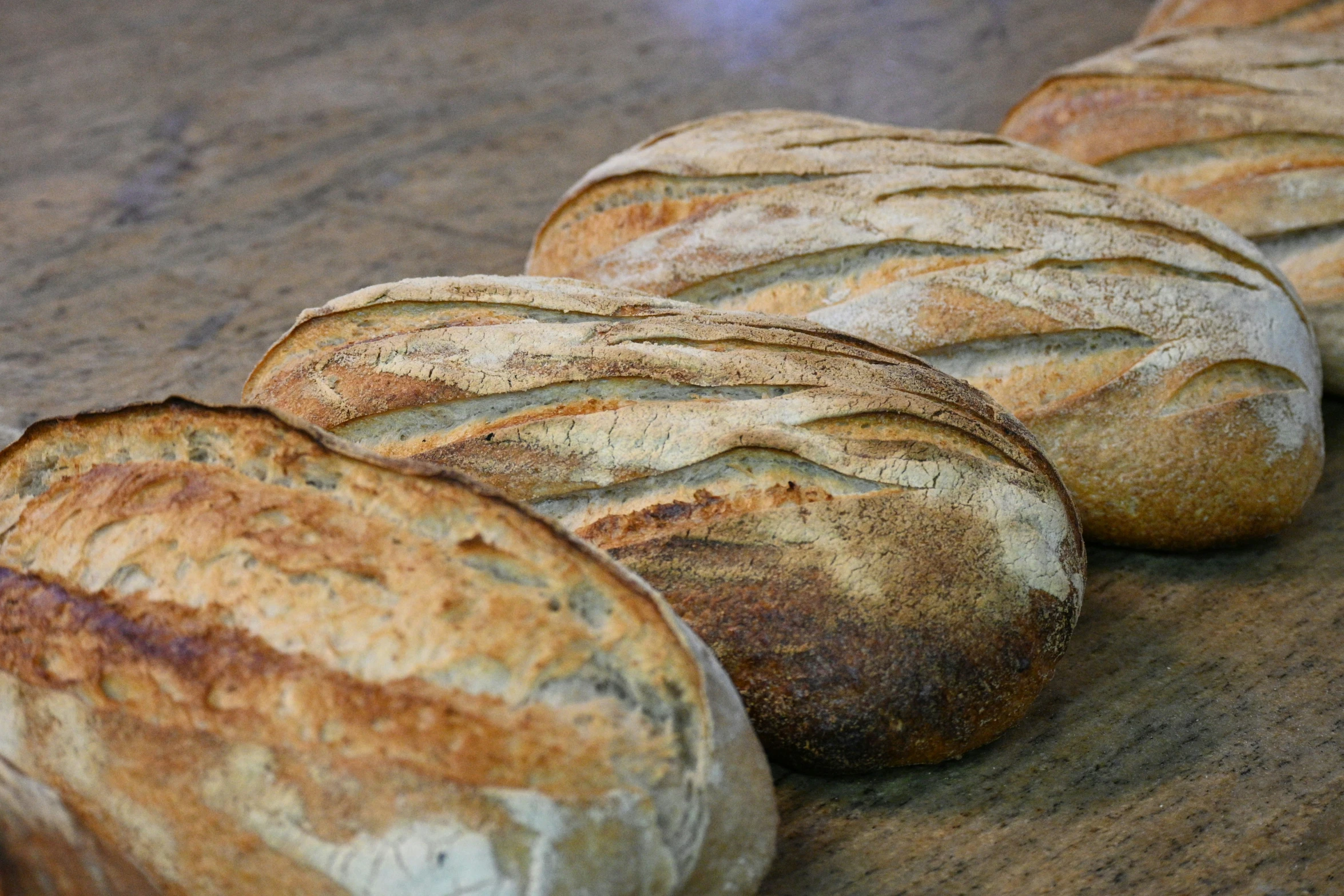 some brown and white loaves of bread on a counter