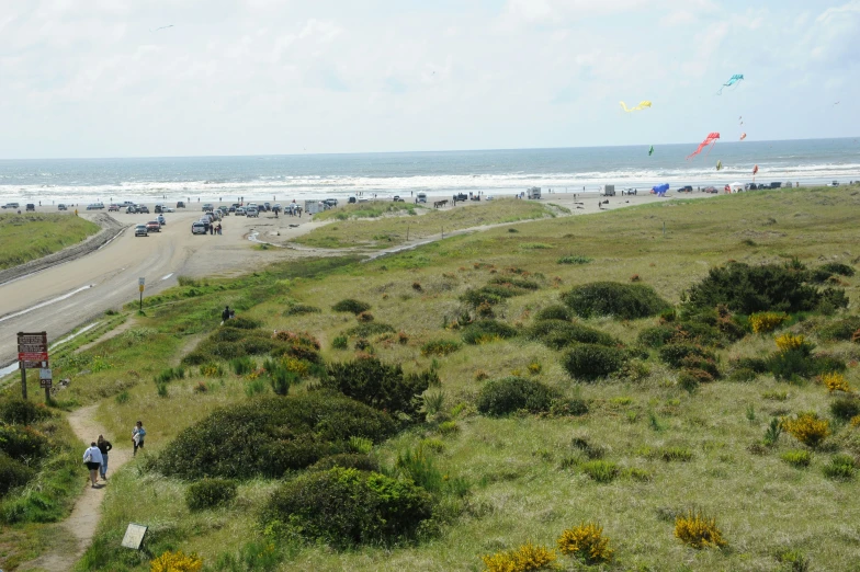 people and cars are on the sand near the beach