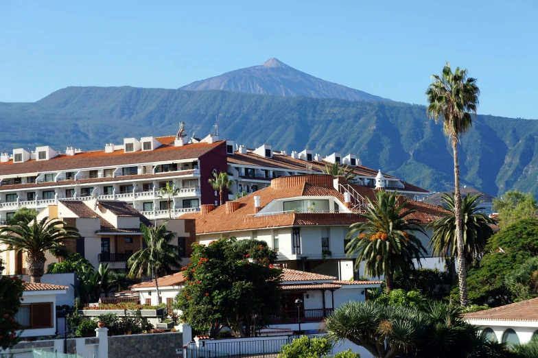 the view of a mountain with els and trees and mountains in background