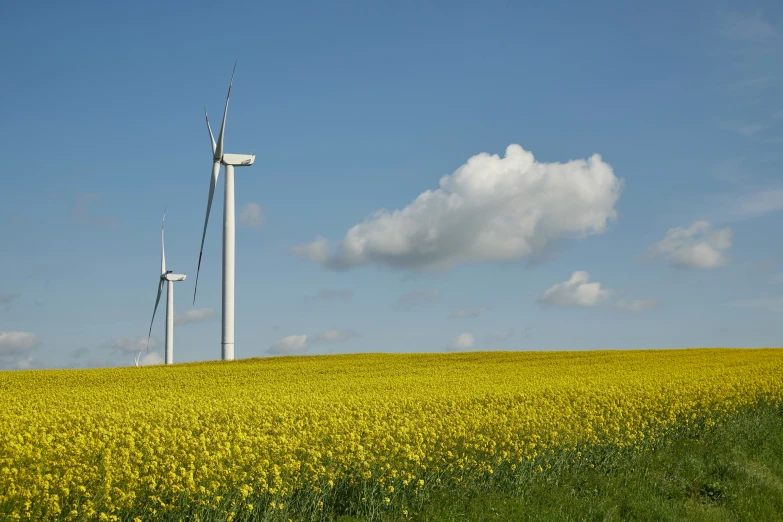 two wind turbines in a field on a sunny day