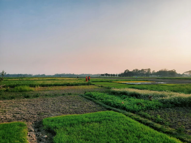 this is a view of the fields from inside an airport