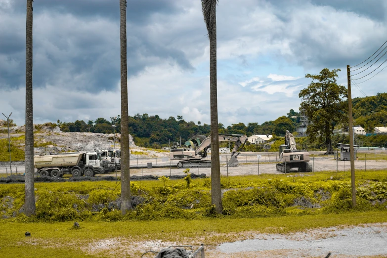 a construction site with trucks parked by palm trees