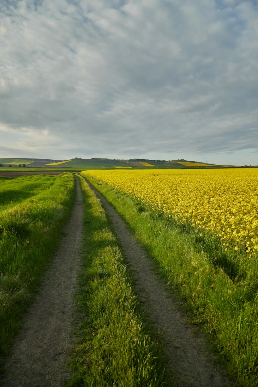 two roads near one another between grass fields and clouds