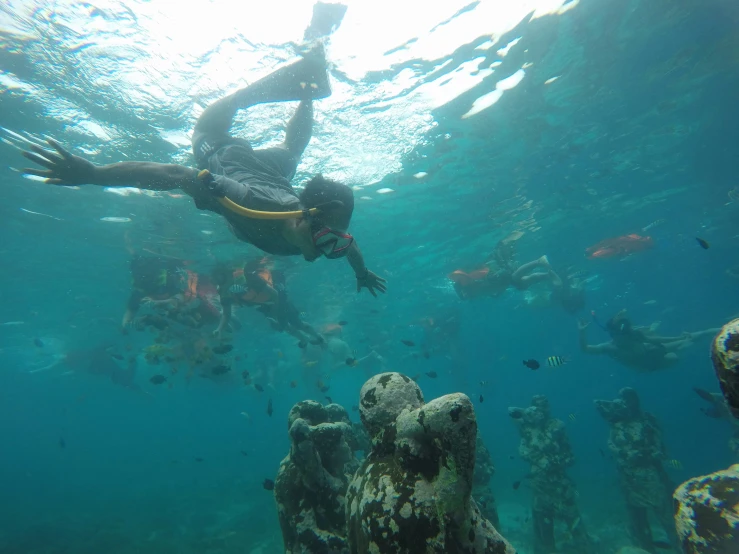 a diver swims through water with fish around them