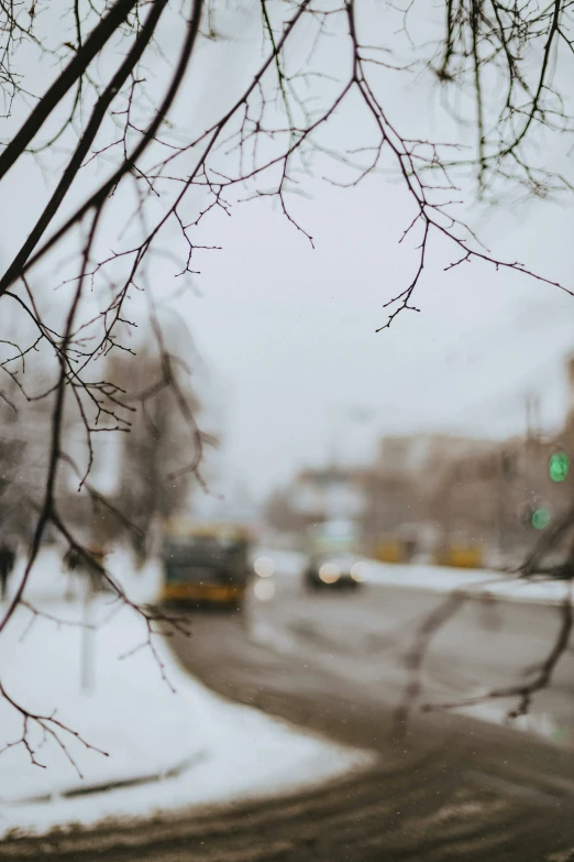 a road with snow and trees on it