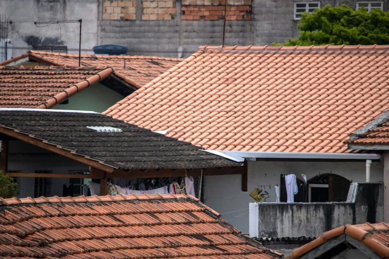 roofs of houses in a suburban neighborhood are lined with old buildings