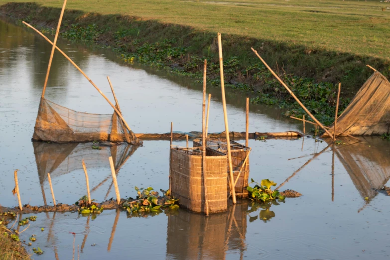 a water bank with nets, grass, and trees