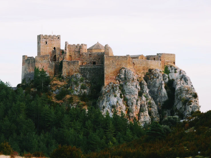 a castle on a cliff in the middle of a forest