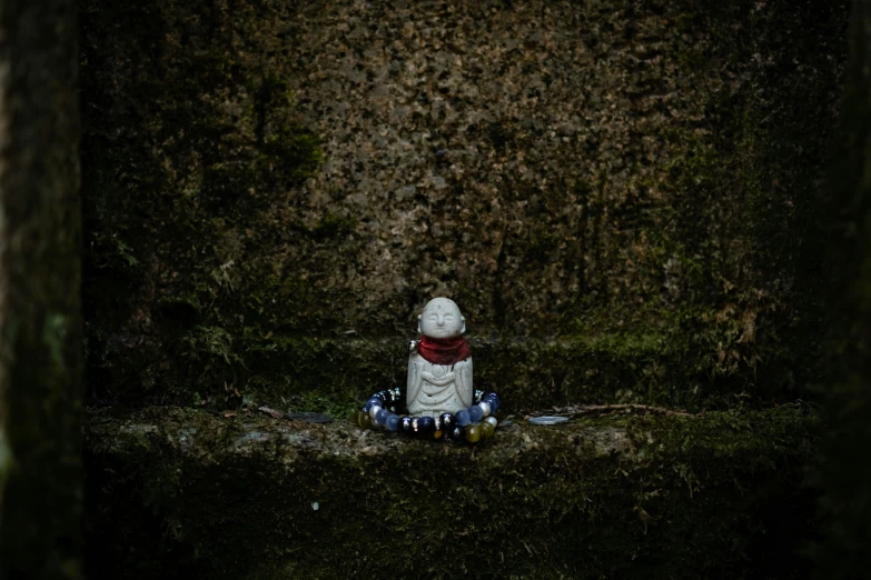 the stuffed bear is sitting on the mossy ground