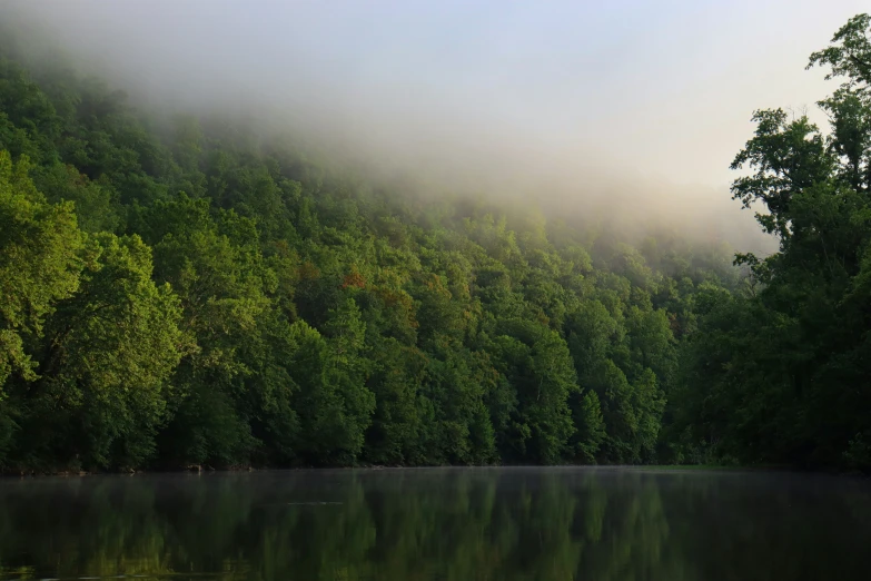 a body of water surrounded by lush green trees