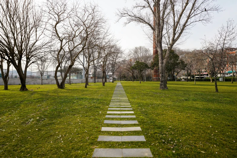 a sidewalk through the park leading to several trees