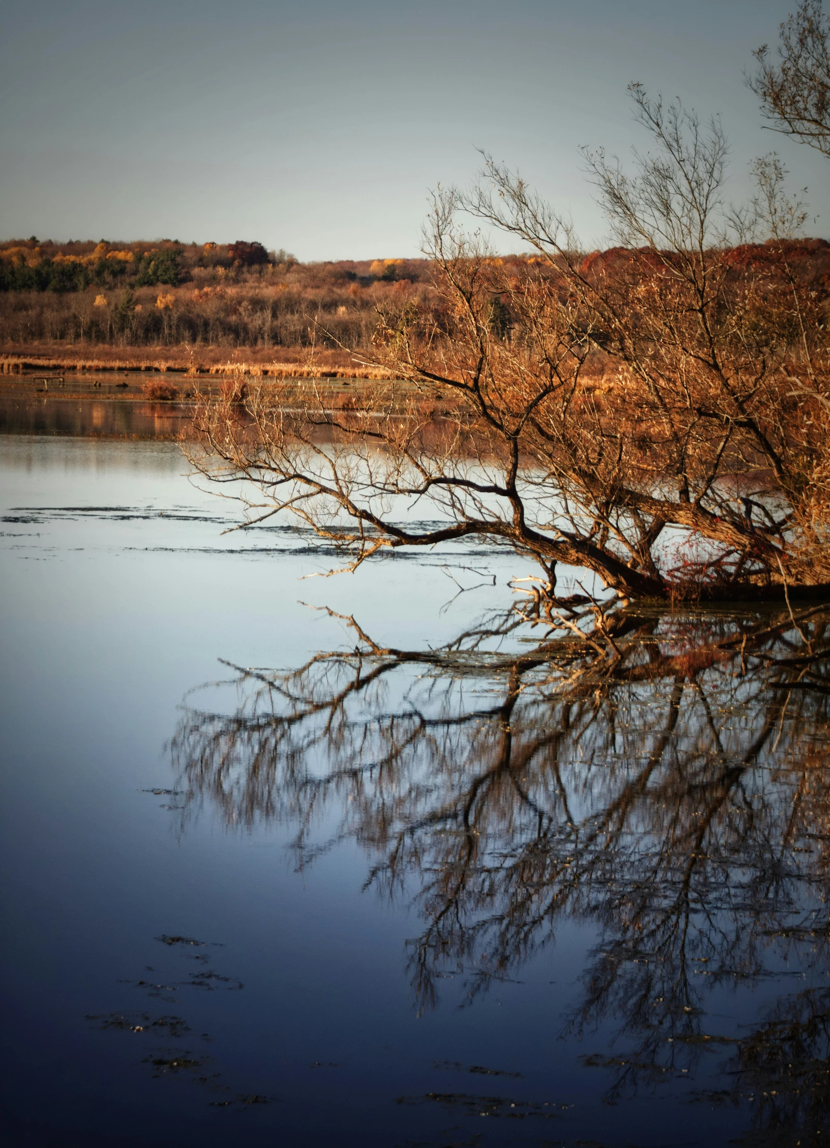 an empty lake in the middle of a barren field