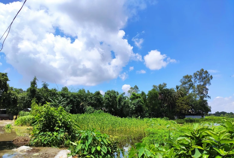 a blue sky with some clouds over a green field