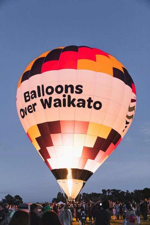 large group of people and  air balloons in a field