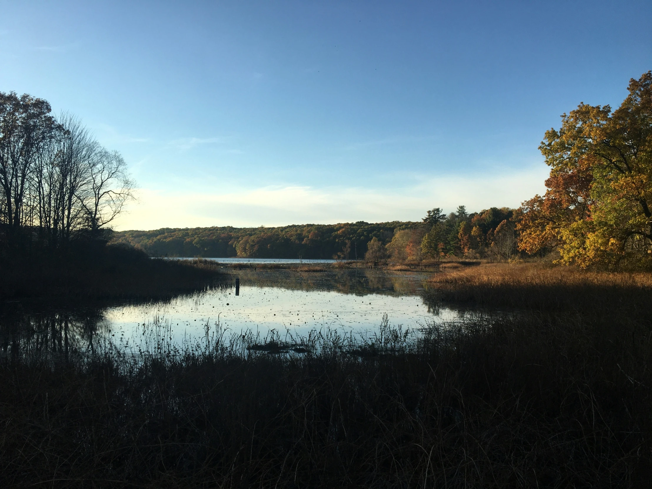 the water is calm for a peaceful day