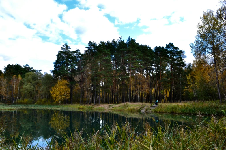 water in the middle of a green field surrounded by trees