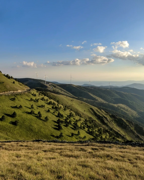 a hill covered in lush green grass on a sunny day