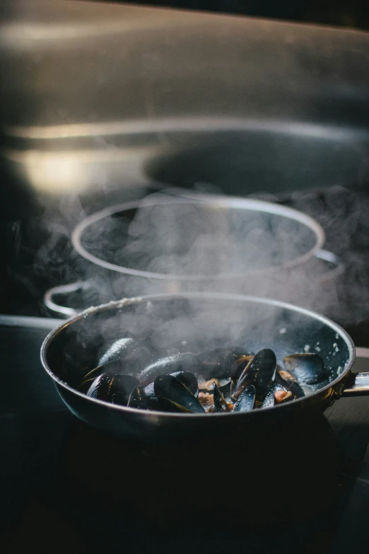 a pair of sauce pans with mussels cooking on stove