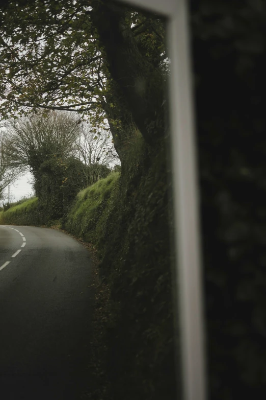 the side view mirror on the side of a vehicle is near the trees