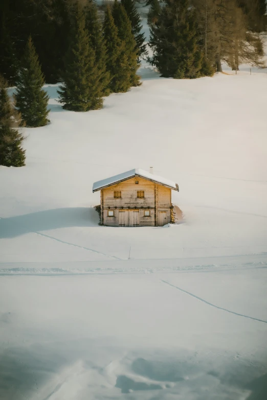 small log house covered in snow surrounded by evergreens