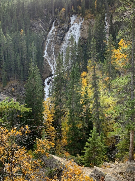 the large waterfall is in the middle of the forest