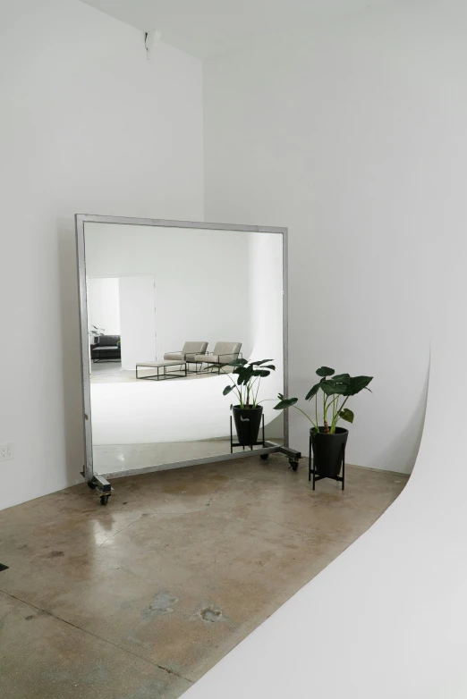 a long mirror is on the floor in front of a room with two potted plants