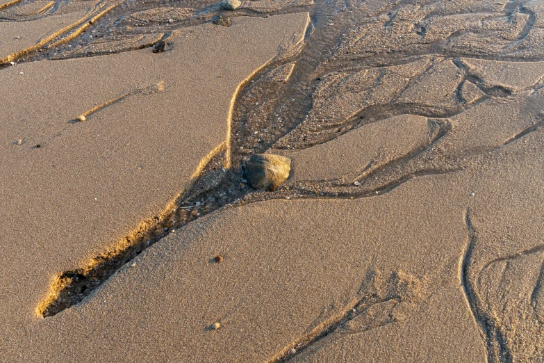 there is a tire left in the sand