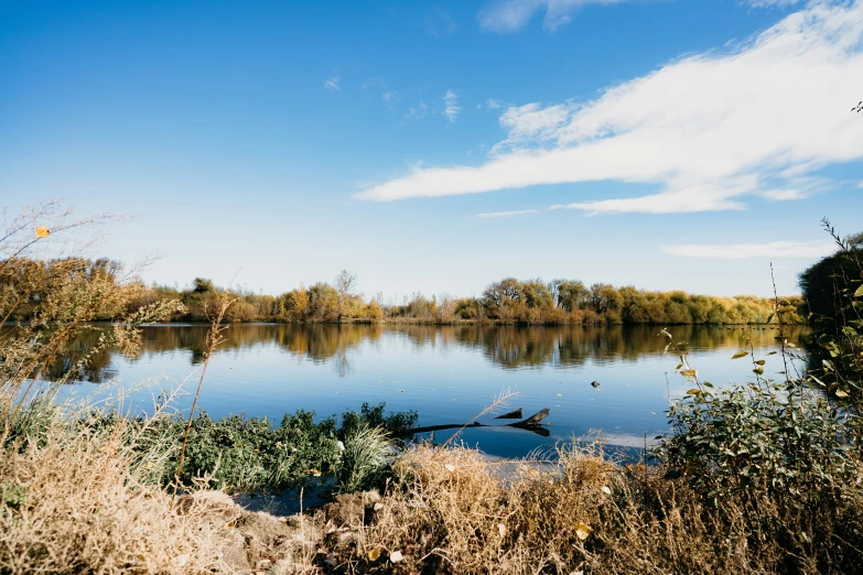 there are birds that are sitting in the water