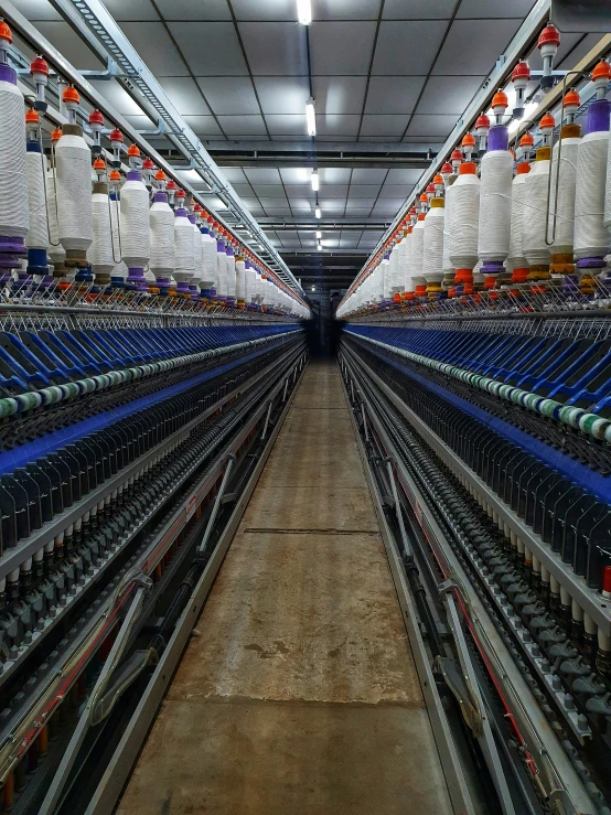 many different type of birds sit in the middle of a large aisle