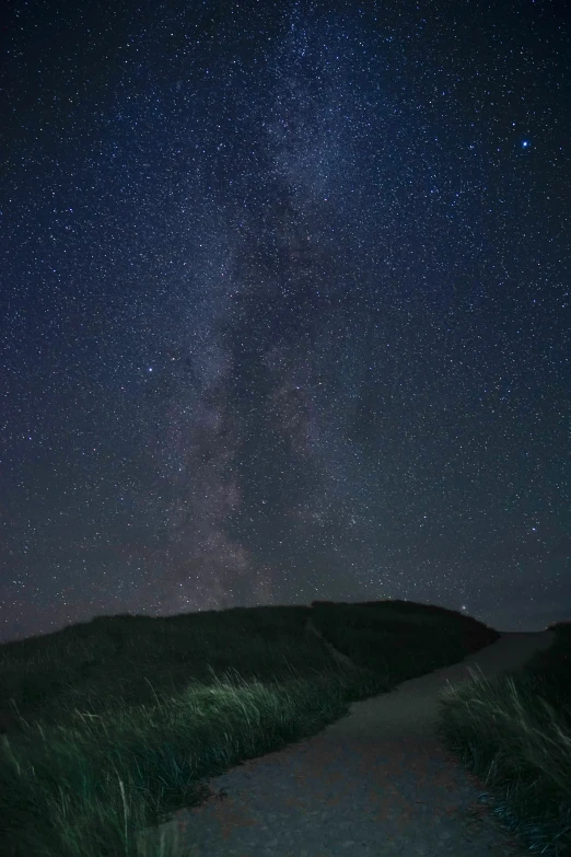 the night sky and stars over a grass field