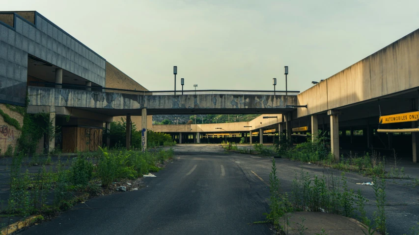 a long stretch of deserted road with plants growing up the side