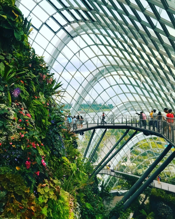 people are walking on a glass walkway near the flower dome