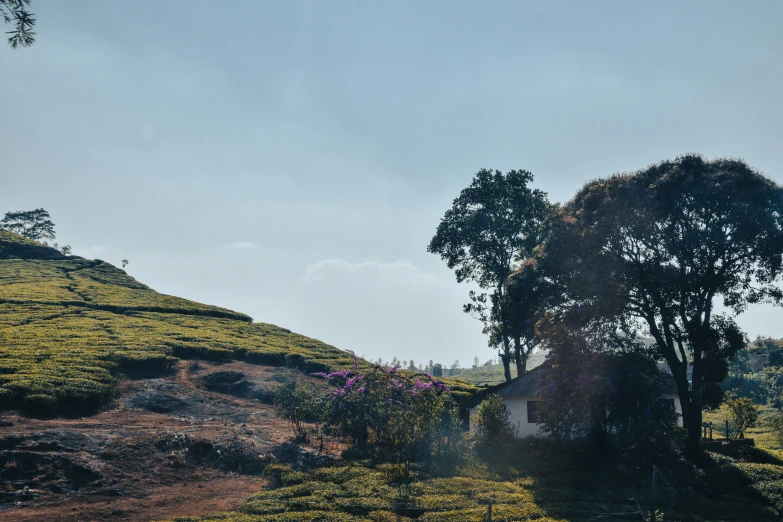 a small cottage at the top of a green hillside