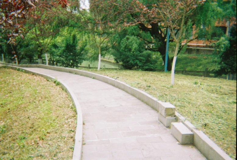 an empty path with benches on both sides