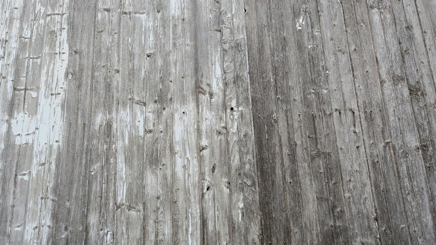 an old wood wall is partially covered in lichen and snow