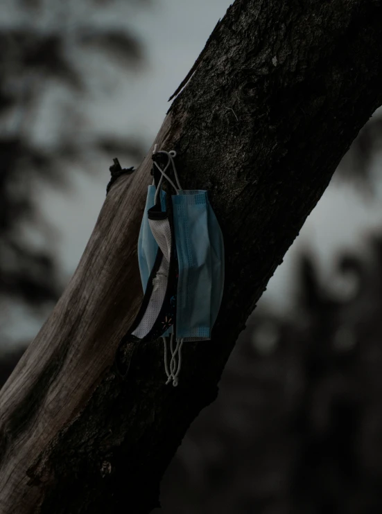 a blue and gray bag hanging from a tree