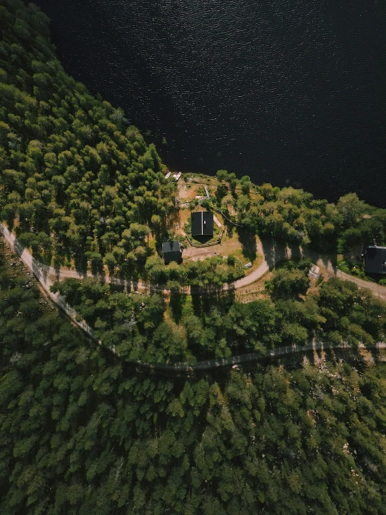 an aerial po of an elevated road surrounded by trees