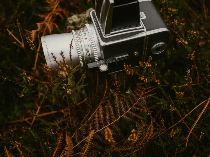 a po taken of a camera in the grass