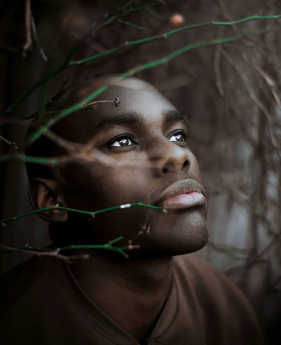 a man with a tree nch around his head