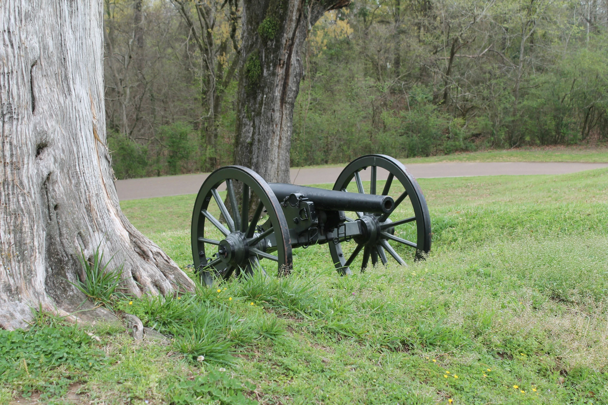 an old war cannon sitting in the shade near a tree