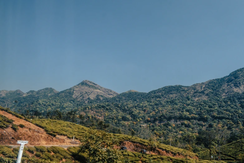 a stop sign is standing at the top of the hill