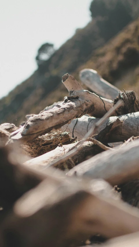 the view looking up at some logs with rocks behind it