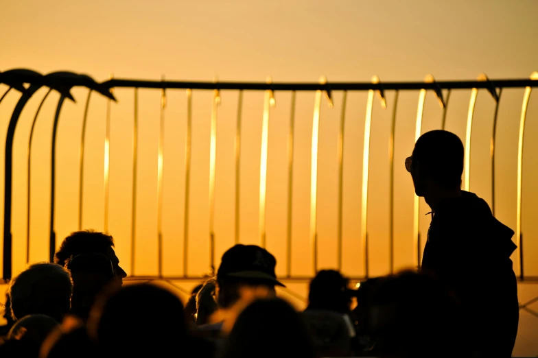 silhouette of person near fence and seagull at sunset