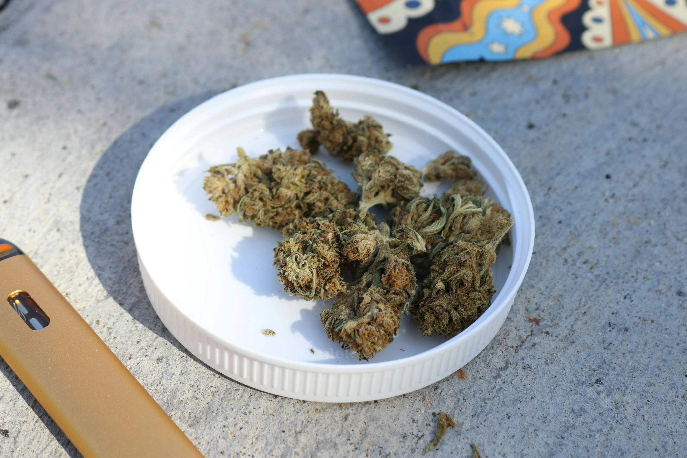 a plastic container with cannabis buds sitting on top