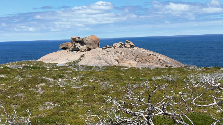 there are sheep resting on a rock near the water