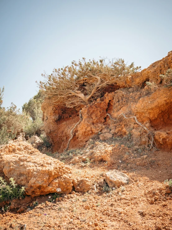 a large rock that is very dirty and has some plants growing out of it