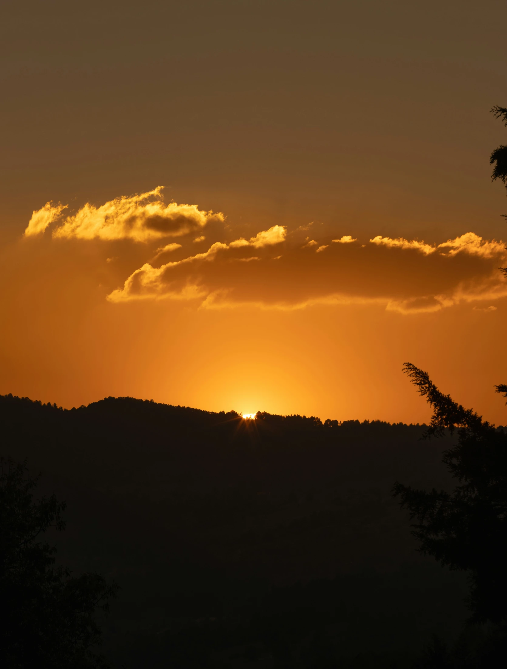 the sun setting in the clouds above trees