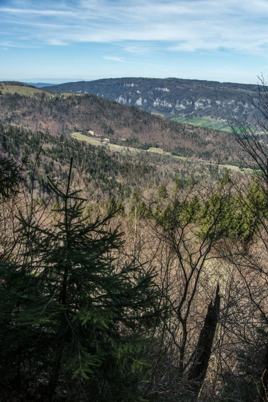 a green hill is seen through some trees