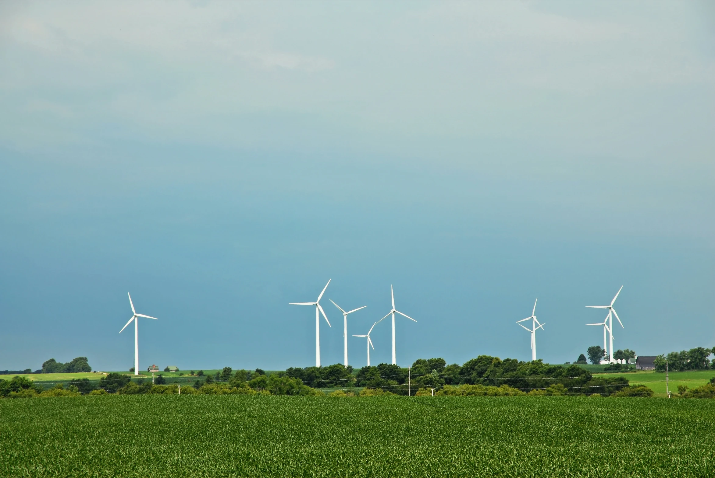 five windmills in a field on a sunny day