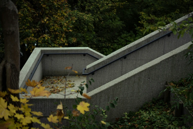 there are no leaves on the stairs and is very tall